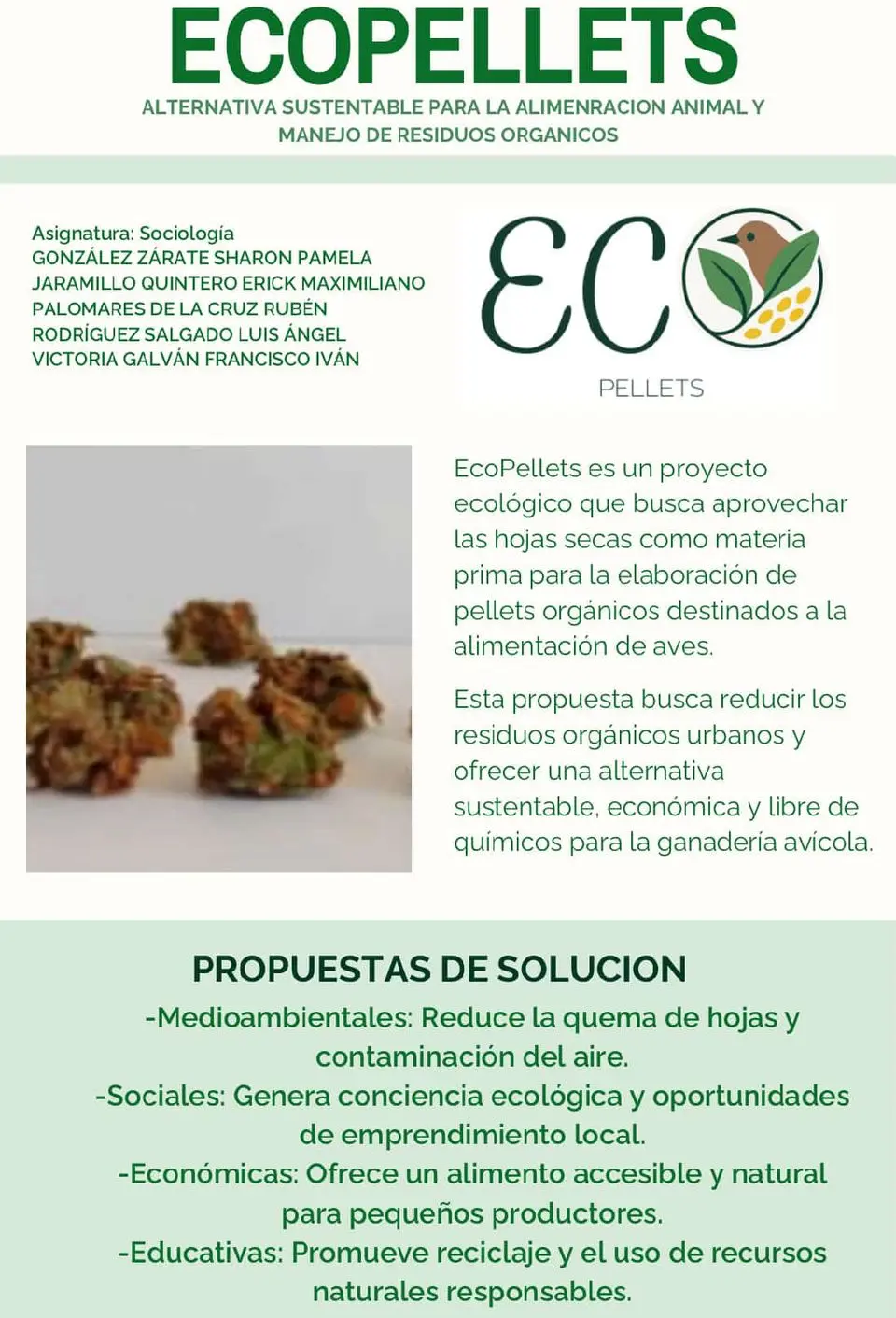 infografia